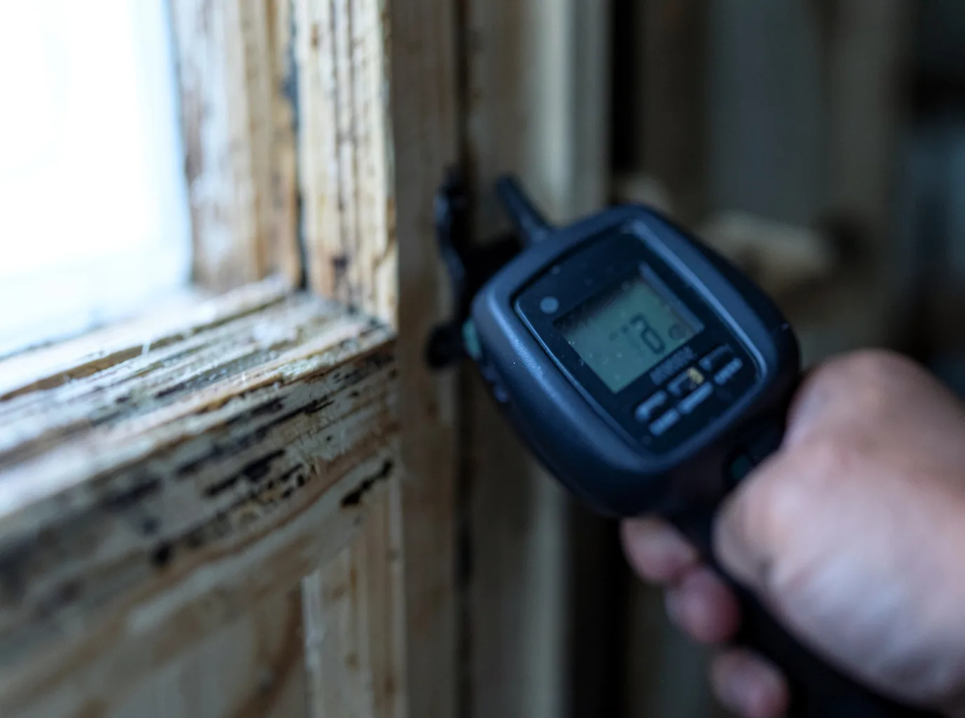 Commercial Water Damage Restoration in Ovid, CO